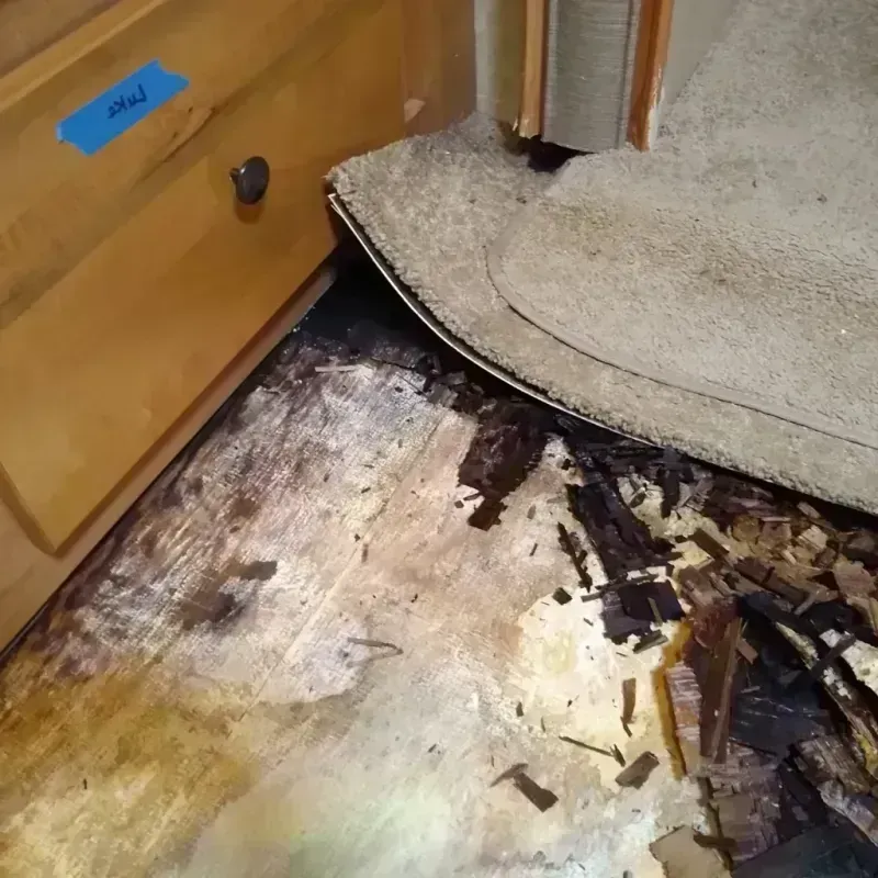 Best Wood Floor Water Damage Service in Vardaman, MS